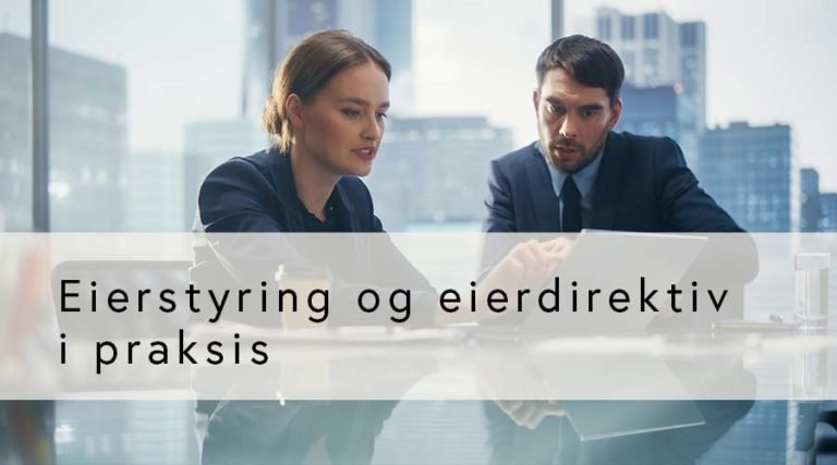 Eierstyring og eierdirektiv i praksis