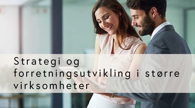 Strategi og forretningsutvikling i større virksomheter