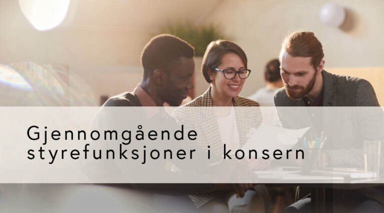 Gjennomgående styrefunksjoner i konsern