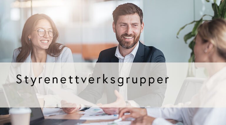 Fellesmøte for alle deltakerne i alle styrenettverksgruppene
