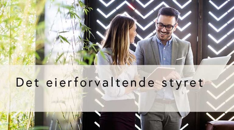 Det eierforvaltende styret (GRATIS for medlemmer)