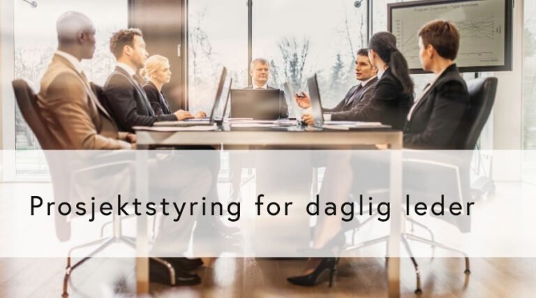 Prosjektstyring for daglig leder
